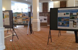 A peek into the poster room at the Penrose/Chapman conference