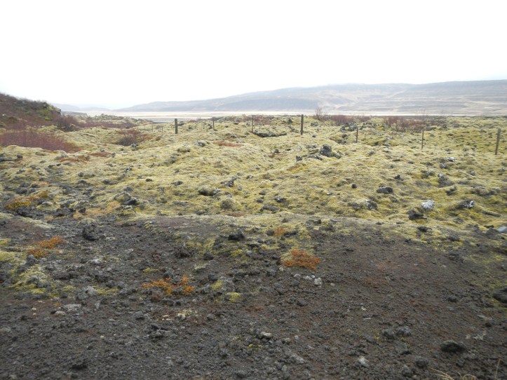 No more views of extensive lava fields, covered with over 400 species of moss that take 300 years to grow even just a little bit.