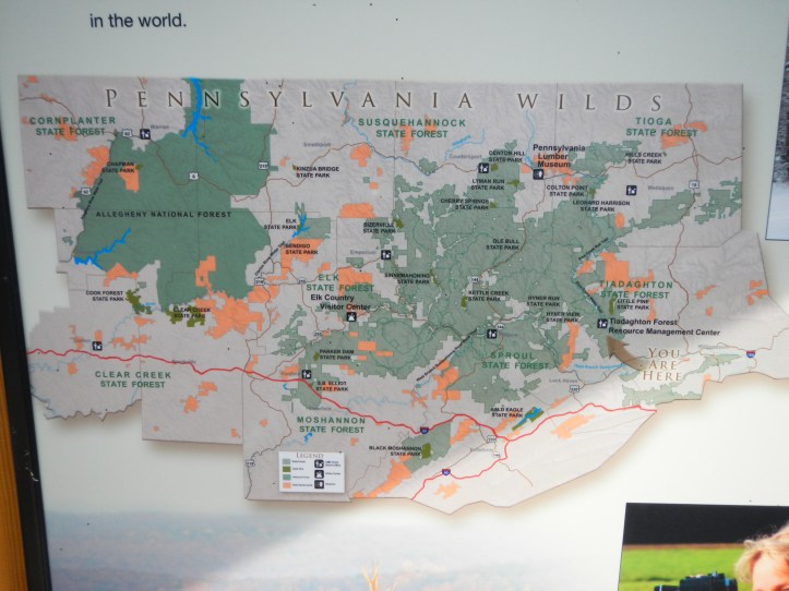 Check out this concentration of PA State Forests in north-central/northwest PA.