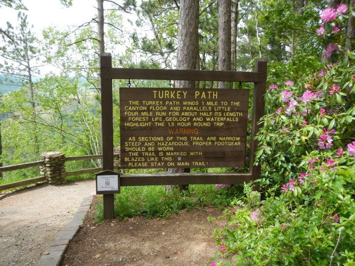 Until we meet again, Turkey Path Trail at Pine Creek Gorge!