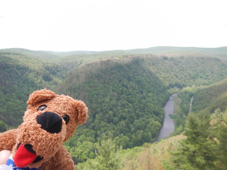 One last parting shot from the Pennsylvania Grand Canyon.