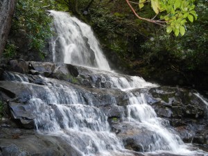 Laurel Falls, one of over 40 waterfalls in the park!