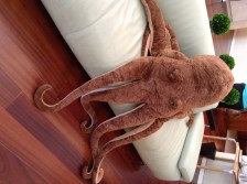 Meet the ScienceOnline Oceans mascot!  He seems to be attending all of the conference sessions as well.