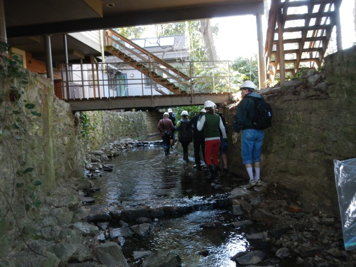 We also walked through some above-ground stormwater structures that manage the run-off.