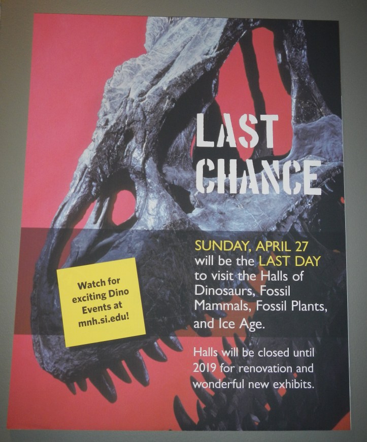 I took advantage of my last chance to see the Fossil Hall... sorry, historical geology students!  Maybe we can have a reunion in five years to see the opening of the new hall!