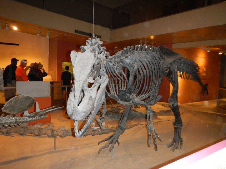 The Allosaurus, with the evidence of broken bones that re-healed.