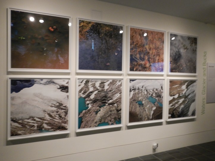 Exhibit titled Waters: Glacier and Bucks