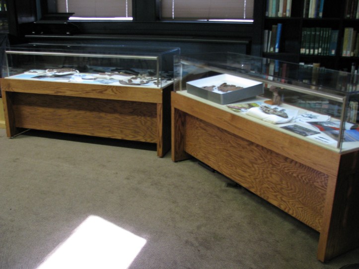 Two display cases in the Library display real pieces of the fossil.