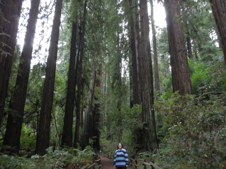 That's me, at Muir Woods National Monument!