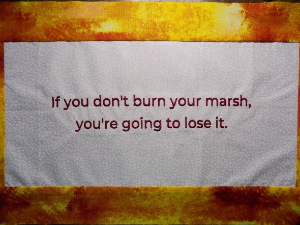 Phrase, if you don't burn your marsh, you're going to lose it
