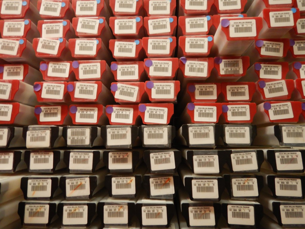 Cores on racks at the Gulf Coast Repository